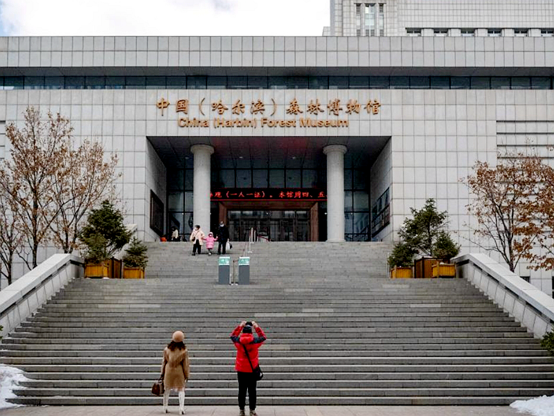 探访中国（哈尔滨）森林博物馆
